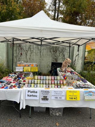 Zoo Hluboká 🐯. #zoo #sojovesvicky #3dtisk #privesky #propisky #mishell