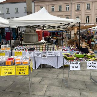 Svatomartinský jarmark v Horažďovicích.🌟 #mishell #jarmakr #horazdovice #sojovesvicky #sojovevosky #vonnekvetiny...