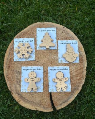 ✨ Magnetky pro štěstí ✨ Roztomilé drobnosti, které potěší každého! Lehoučké, odolné a krásně zpracované magnetky z umělého...